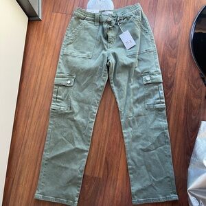 Velvet green cargo pants